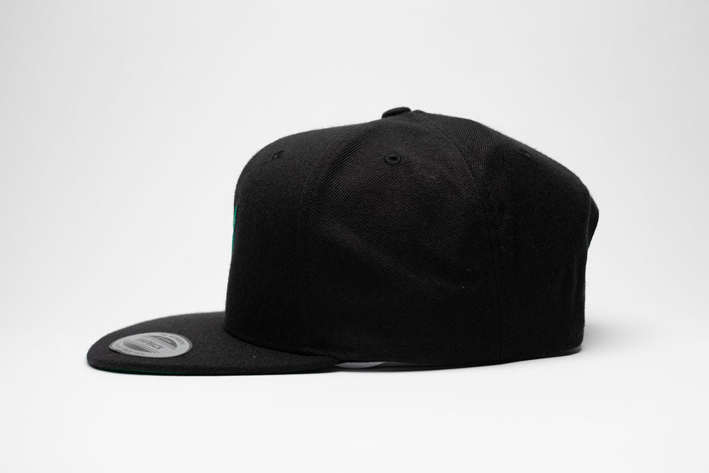 SNAPBACK
