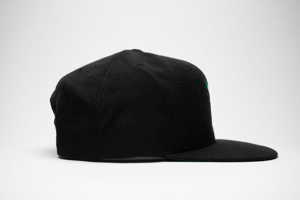 SNAPBACK