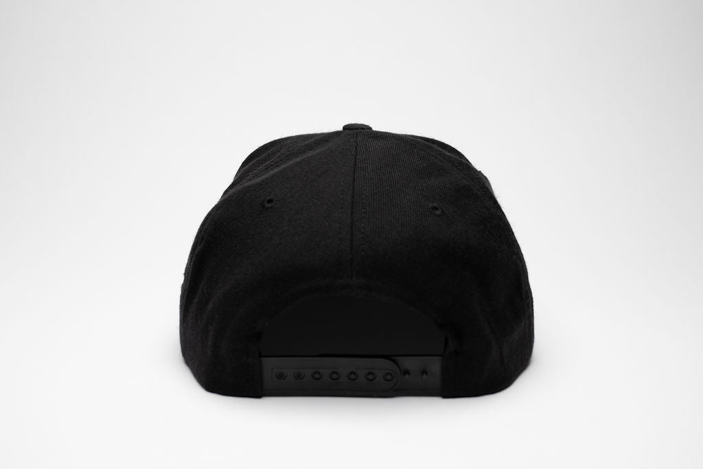 SNAPBACK