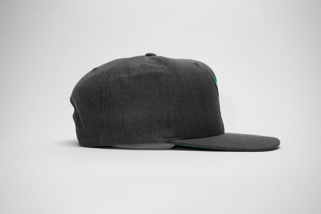 SNAPBACK
